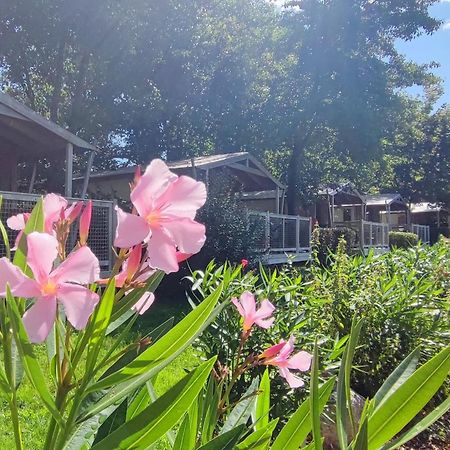 Camping Capfun La Bretèche Les Épesses Esterno foto