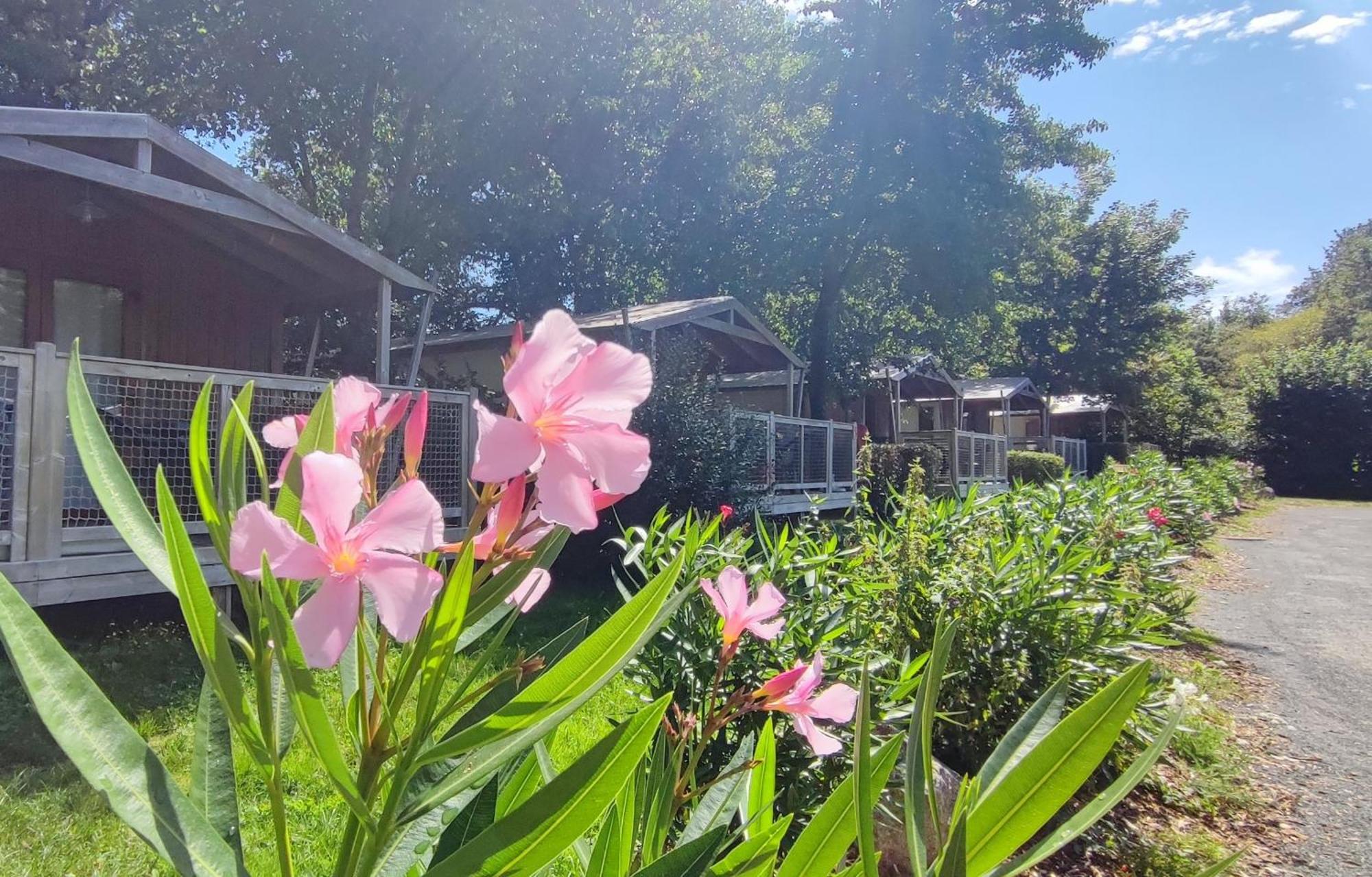 Camping Capfun La Bretèche Les Épesses Esterno foto